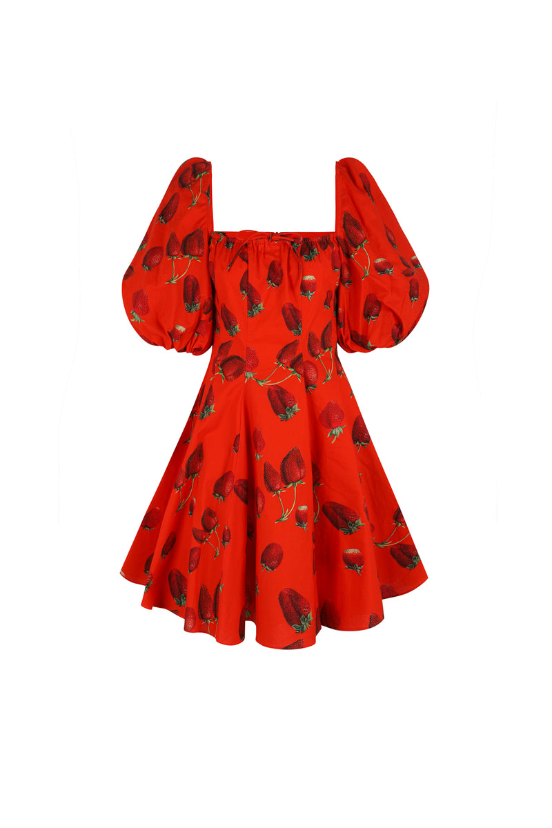Like Strawberries Mini Day Dress  Selkie
