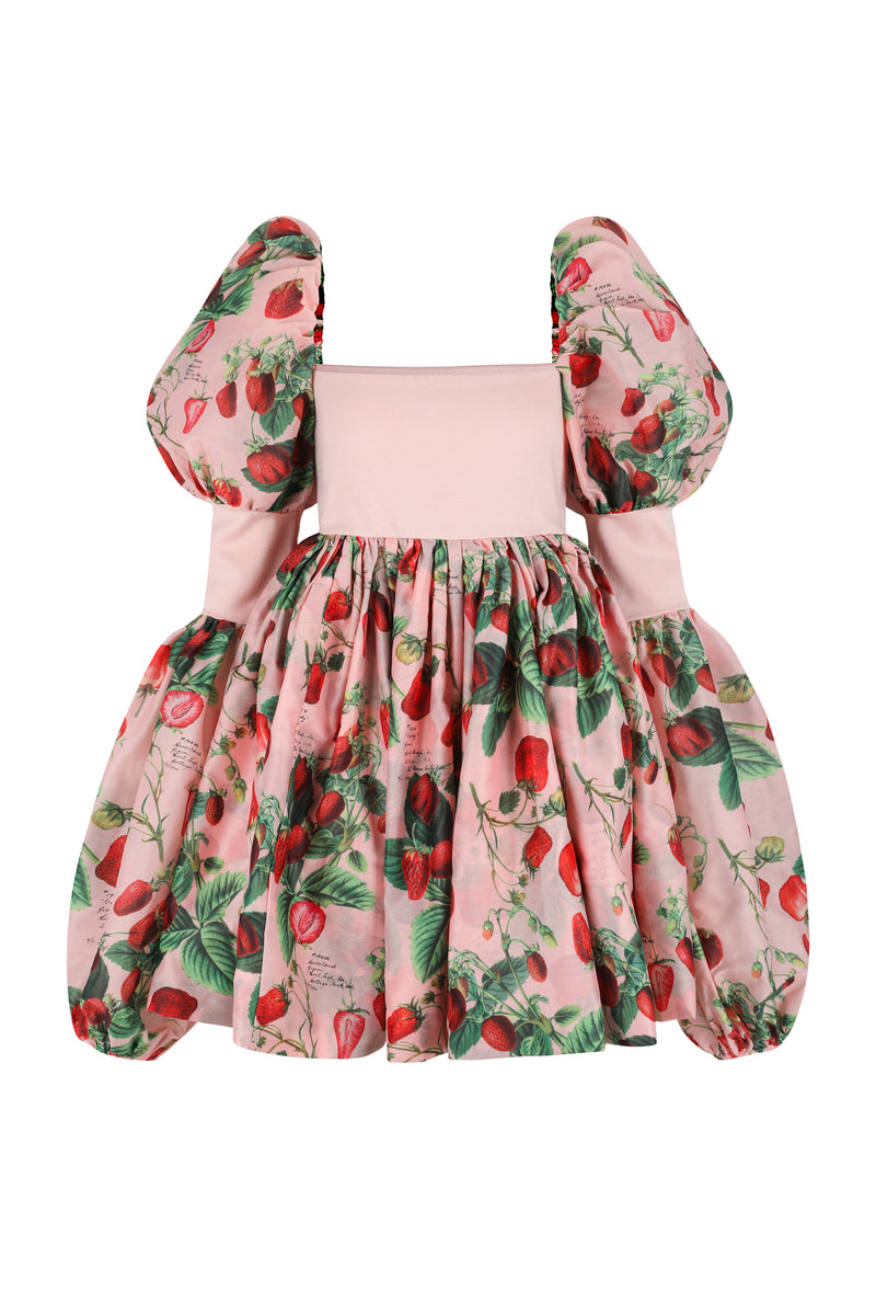The Strawberry Wine Barre Dress Selkie The Strawberry Wine Barre Dress Selkie