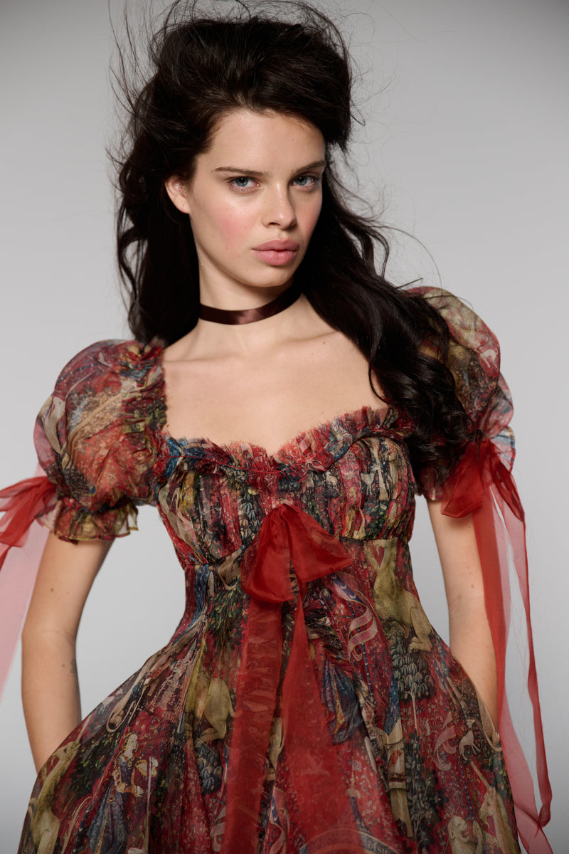 The Lady and the Unicorn Silk Organza Tulum Dress