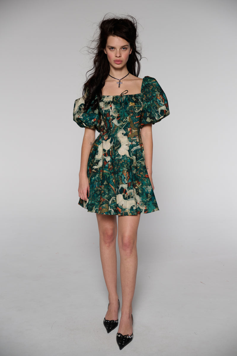 The Unicorn Defends Himself Mini Day Dress