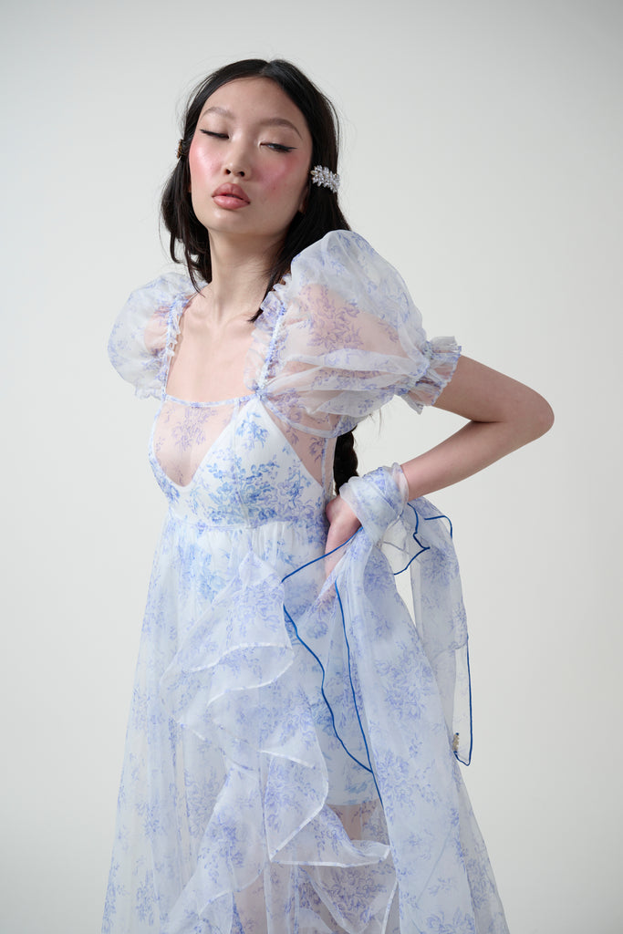 The Bed & Breakfast Sheer Delight Ruffle Gown – Selkie