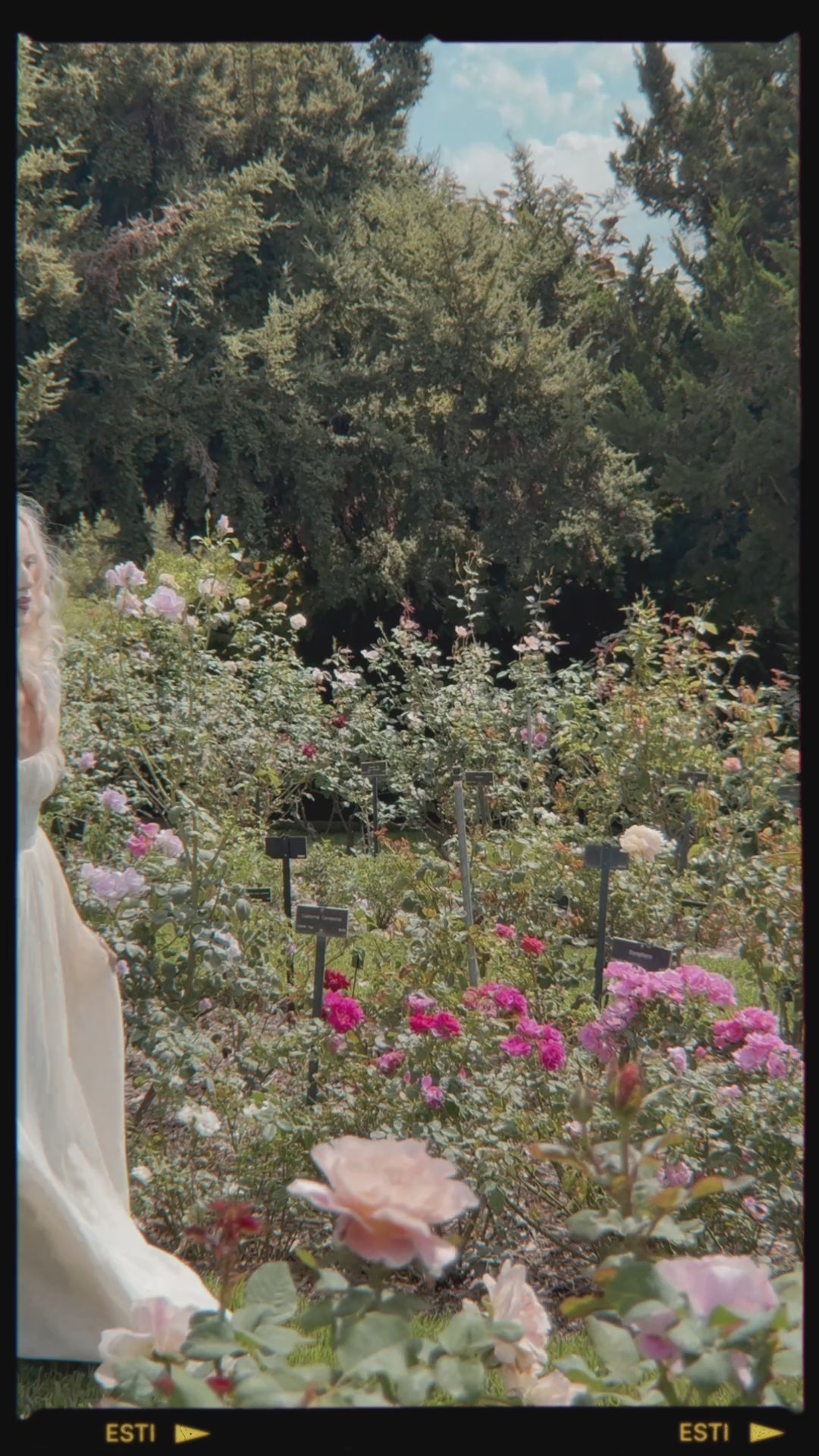The Vanilla Renfaire Gown